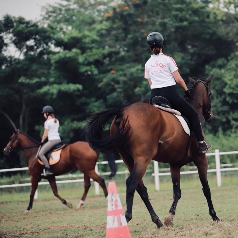 GALLOP HILL TOP RESORT - thumb 5