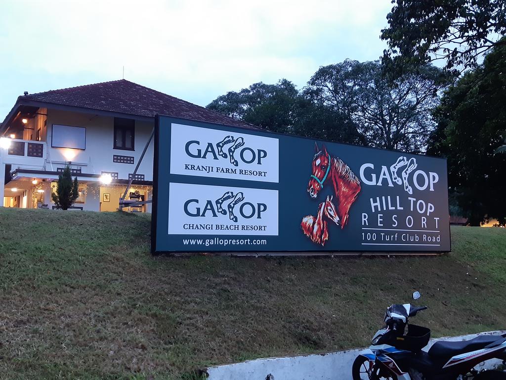 GALLOP HILL TOP RESORT - thumb 4