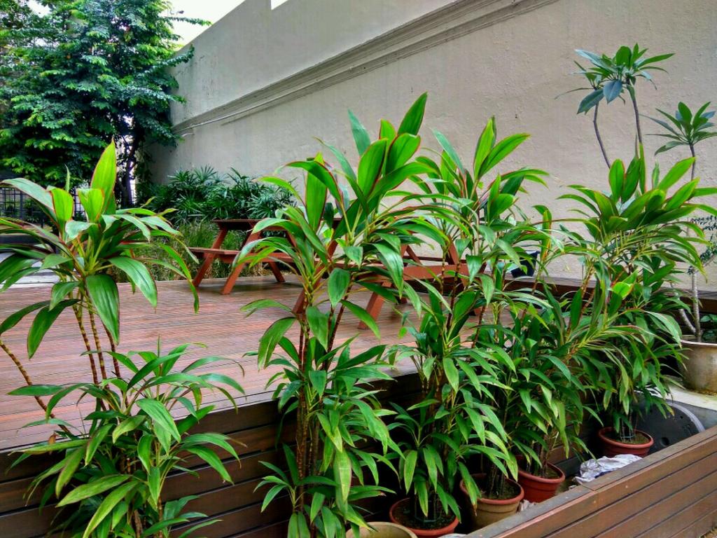 Greatwood Residence At Devonshire - thumb 6