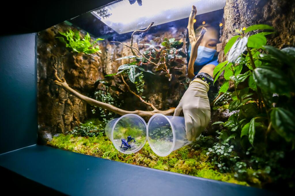 Resorts World Sentosa - Crockfords Tower - thumb 7