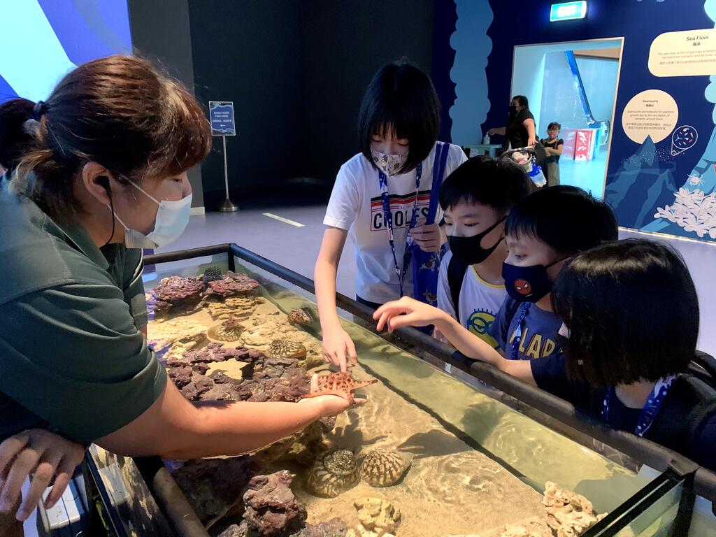 Resorts World Sentosa - Festive Hotel - thumb 6