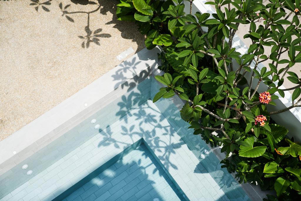 Wanderlust, The Unlimited Collection By Oakwood - thumb 5