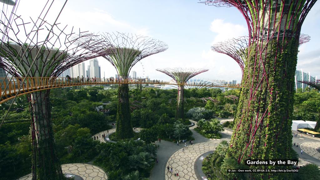 ZEN Rooms Orchard - thumb 3