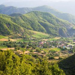 Elbasan County Accommodation Singapore