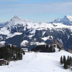 Kitzbuhel Accommodation Singapore