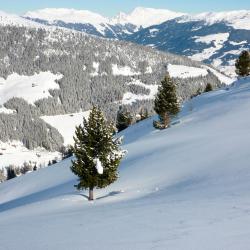Zillertal Accommodation Singapore