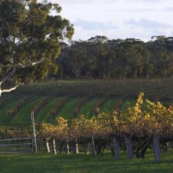 Barossa Valley Accommodation Singapore
