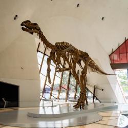 National Museum of Australia, Canberra Accommodation Singapore
