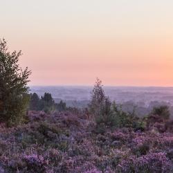 De Kempen Accommodation Singapore