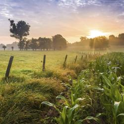 East-Flanders Accommodation Singapore