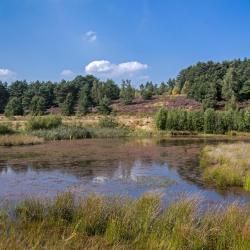 Hoge Kempen Accommodation Singapore