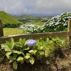 Serra Gaucha Accommodation Singapore