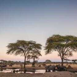 Chobe Accommodation Singapore