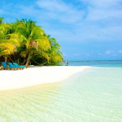 Placencia Accommodation Singapore