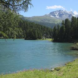 Engadin St. Moritz Accommodation Singapore