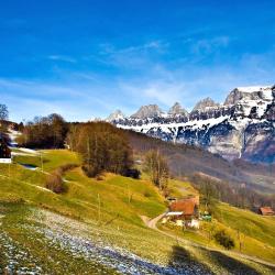 Gstaad Saanenland Accommodation Singapore