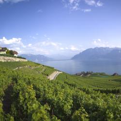 Lake Geneva Accommodation Singapore