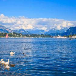 Lake Lucerne Accommodation Singapore