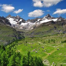 Swiss Alps Accommodation Singapore