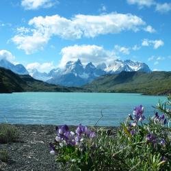 Torres del Paine Accommodation Singapore