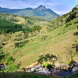 Nariño Accommodation Singapore