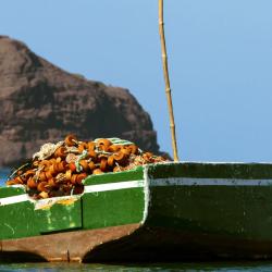 Sao Vicente Accommodation Singapore