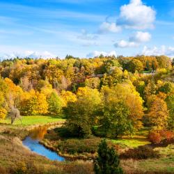 Ida-Virumaa Accommodation Singapore