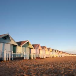 Essex Accommodation Singapore