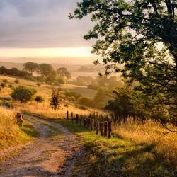 Hertfordshire Accommodation Singapore