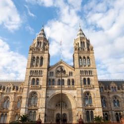 Natural History Museum, London Accommodation Singapore