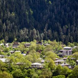 Borjomi Accommodation Singapore