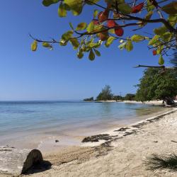 Utila Accommodation Singapore