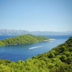 Mljet Island Accommodation Singapore