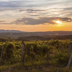 Northern Hungary Accommodation Singapore