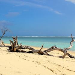 Gili Trawangan Accommodation Singapore