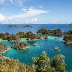 Raja Ampat Accommodation Singapore