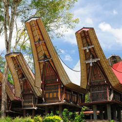 Sulawesi Accommodation Singapore