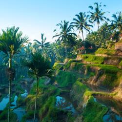 Ubud Accommodation Singapore