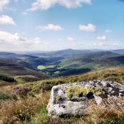 Leinster Accommodation Singapore