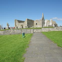 Offaly Accommodation Singapore