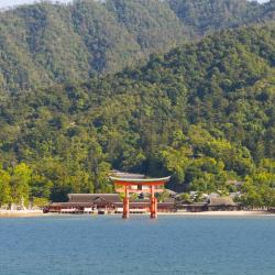 Aichi Accommodation Singapore