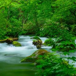 Aomori Accommodation Singapore