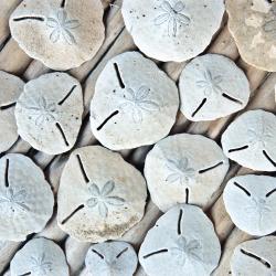 Kilifi Accommodation Singapore