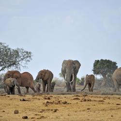 Makueni Accommodation Singapore