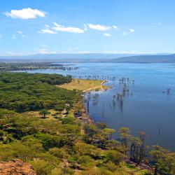 Nakuru Accommodation Singapore