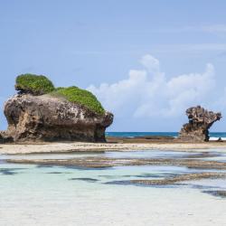 Watamu Accommodation Singapore