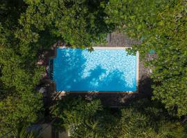 Jungle Addition Accommodation Singapore