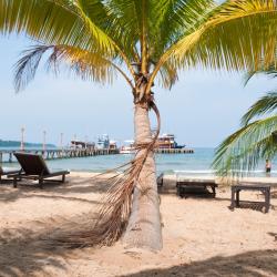 Sihanoukville Accommodation Singapore