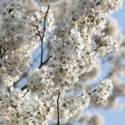 Daegu Accommodation Singapore