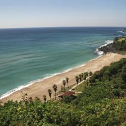 Jeju Jungmun Resort, Seogwipo Accommodation Singapore